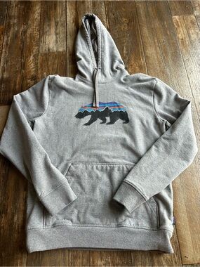 Patagonia Fitz Roy Bear Uprisal Hoody Mens Gray Pullover Hoodie Outdoor Sz M